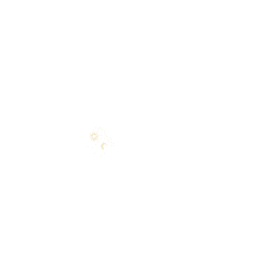 Logo_jose_martignoni evidencia